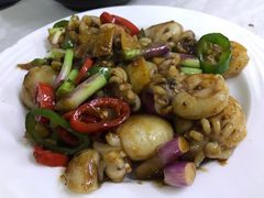 酱爆墨鱼仔-醉贤居