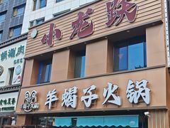 -小龙跃.羊蝎子火锅(凤凰北街店)