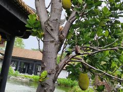 -荔湾湖公园