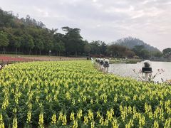 -顺峰山公园