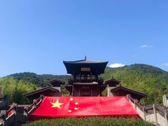 -大唐贡茶院