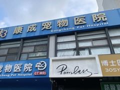 -康成宠物医院24H·CT·核磁共振