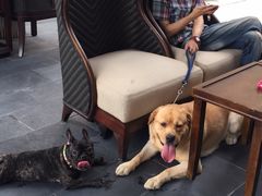 -上海崇明金茂凯悦酒店