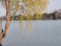 -羊山湖公园