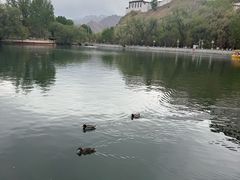 -宗角禄康公园