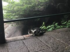 -崂山巨峰游览区