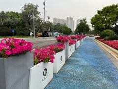 -秦皇岛秦皇国际大酒店
