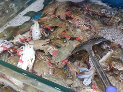 -港畔赶海蒸汽海鲜烧烤自助(仙螺岛店)