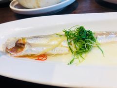 清蒸刀鱼-扬州狮子楼·非遗淮扬菜(总店)