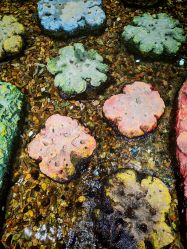 -钓虾工场·钓虾·赶海(回龙观店)