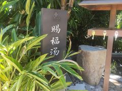 -汇雅温泉