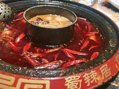 -蜀辣居鲜货老火锅(红牌楼店)