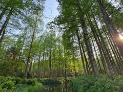 -杭州香格里拉·香宫中餐厅