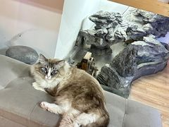 -白兔子密室(长寿路店)