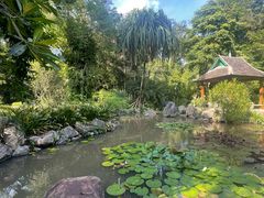 -中国科学院西双版纳热带植物园