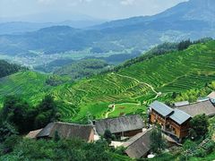 -紫鹊界梯田景区