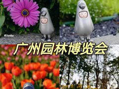 -海心沙亚运公园