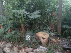 -成都市活水公园