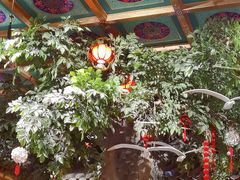 -情满四合院•京菜•烤鸭(动物园店)