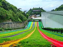 -梦幻奥陶纪景区