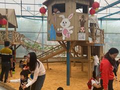 -麻涌飞鸭开心农场
