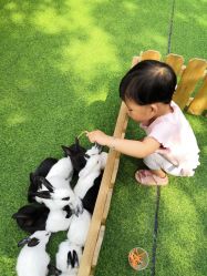 -萌宠亲子动物乐园(槐房万达店)