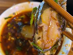 三角枫-金海椒罐罐鲢鱼(东方桂苑店)