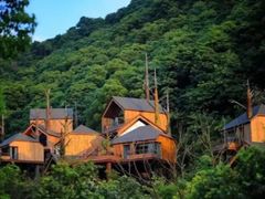 -杭州开元森泊度假乐园