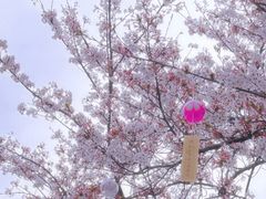 -堤角公园
