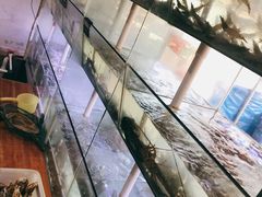 -海之鲜大排档(东山海鲜金銮湾店)