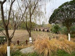 -桂湖森林公园