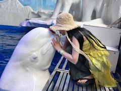 -秦皇岛乐岛海洋王国