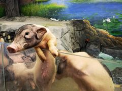 -正佳雨林生态植物园