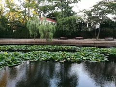 -八大关景区