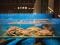-许家菜(DT51店)