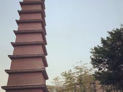 -平安（深圳）金融教育培训中心