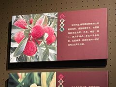 -台州博物馆