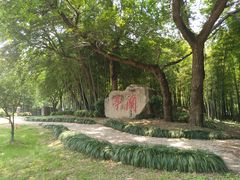 -兰亭风景区