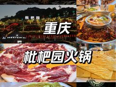 -枇杷园食为鲜火锅(南山店)