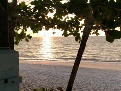-Scarborough Fish & Chips- Tanjung Rhu