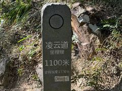 -梧桐山风景名胜区