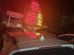 门面-桃姐农庄老字号(从化温泉店)