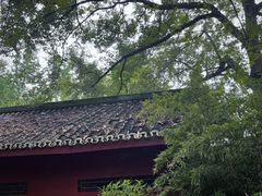 -望江楼公园