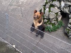 -成都动物园