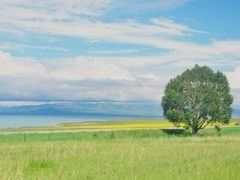 -青海湖国家重点风景名胜区