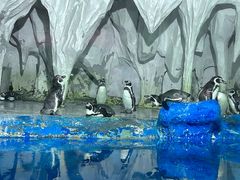 -太平洋海底世界