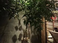 -SPA·印象足道养生(大运河度假区四望亭店)