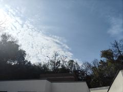 -雅苑中餐厅
