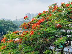 -荔湾博物馆