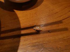 -鼎高高陕西美食(龙德广场店)